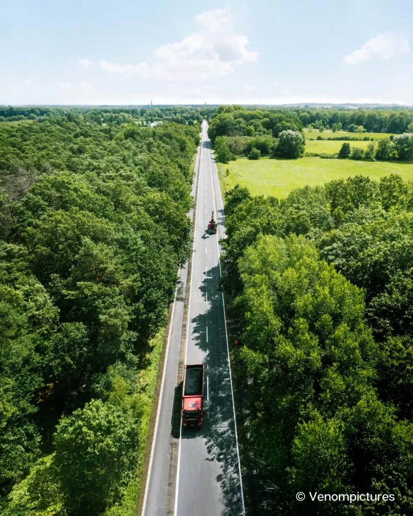 Straße in grüner Landschaft